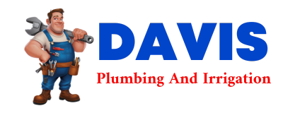 Trusted plumber in TIJERAS